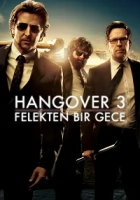 Felekten Bir Gece 3 2013 Poster