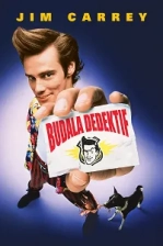 Budala Dedektif Poster
