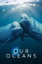 Our Oceans Poster