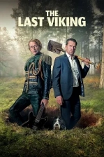 Son Viking Poster
