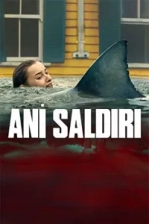 Ani Saldırı Poster