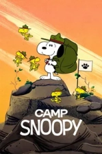 Camp Snoopy Poster