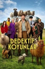 Dedektif Koyunlar Poster