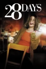 28 Gün Poster