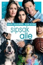Şipşak Aile Poster