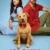 Merv Small Poster