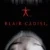 Blair Cadısı Small Poster