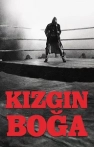 Kızgın Boğa