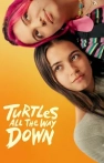 Turtles All the Way Down