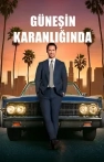 The Lincoln Lawyer