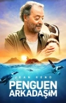 Penguen Arkadaşım