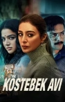 Köstebek Avı