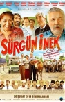 Sürgün İnek