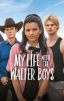 My Life with the Walter Boys