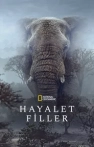Hayalet Filler