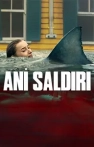 Ani Saldırı