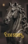 Cam Sehpa