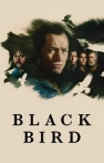 Black Bird